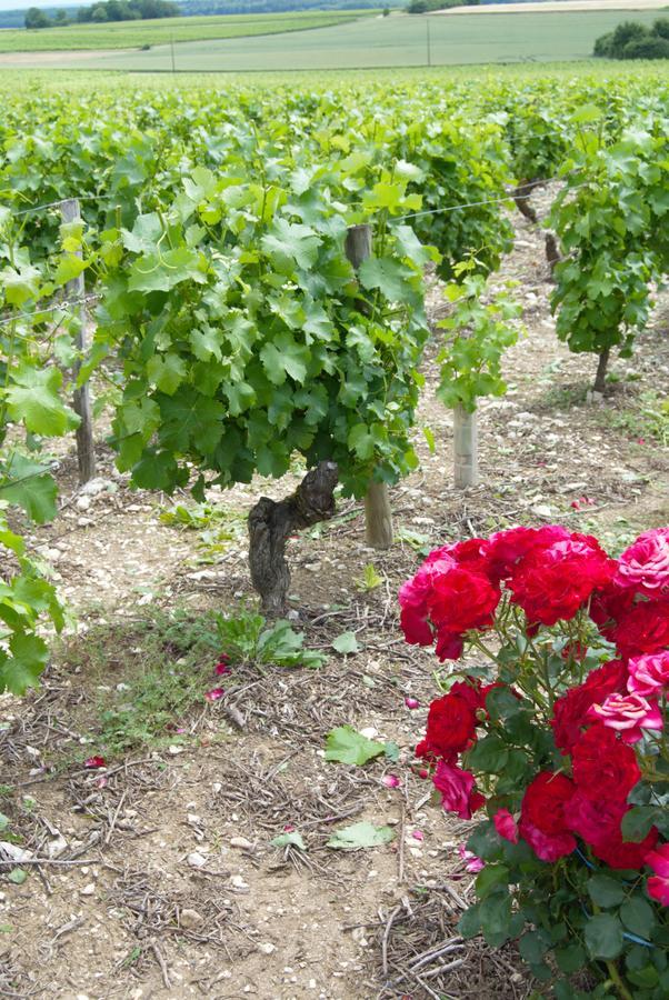 La Pouillyzotte 3* Pouilly-sur-Loire