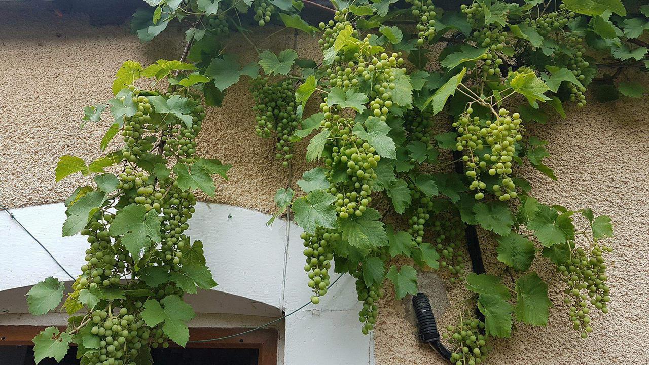 La Pouillyzotte Bed & Breakfast
